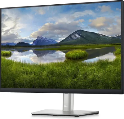 Produktbild von DELL P Series 60,96 cm (24") Monitor – P2423, 61 cm (24"), 1920 x 1200 Pixel, WUXGA, LCD, 5 ms, Schwarz
