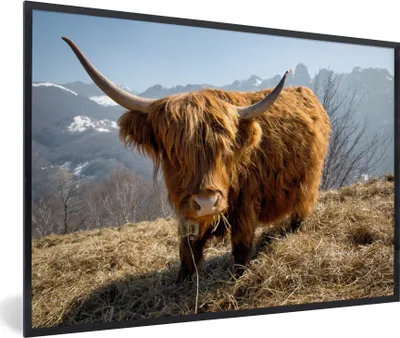 Produktbild von MuchoWow® MuchoWow® Gerahmtes Poster Schottisches Hochlandrind - Berg - Schnee 60x40 cm - Poster mit zchwarzem Bilderrahmen - Printing - Wanddeko Schlafzimmer