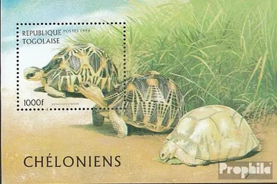 Produktbild von Briefmarken Togo 1996 Mi Block401 (kompl.Ausg.) postfrisch Schildkröten