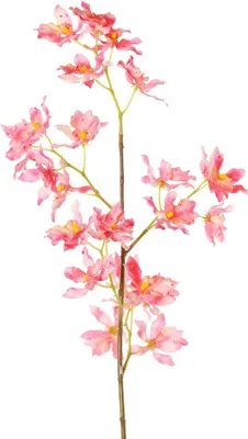 Produktbild von Naturgetreue Kunstblume Renanthera m. in Rosa mit 25 Blüten für langanhaltende Dekoration