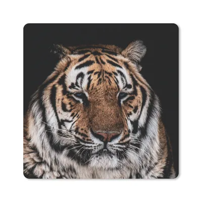 Produktbild von MuchoWow® Mauspad Mousepad Tiger - Tiere - Orange 20x20 cm - Mousepads - Maus Mat - Pad - Mausunterlage - Desk Mat - Bureauartikeln