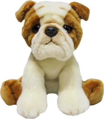 Image de ANEK Chien Bouledogue 30cm 47739