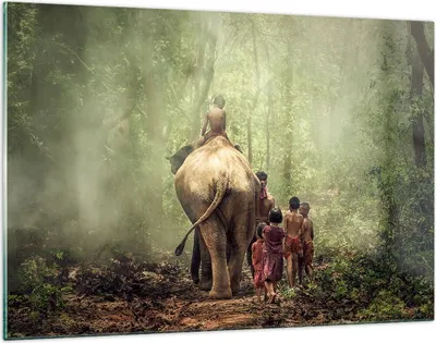 Produktbild von Bilder auf glas - Elefant Dschungel Nebel - 120x80cm - Glasbilder - Wandbilder - Kunstdruck - zum Aufhängen bereit - Wanddekoration aus Glas - Glas Bilder - Wandbild auf Glas - GAA120x80-3438