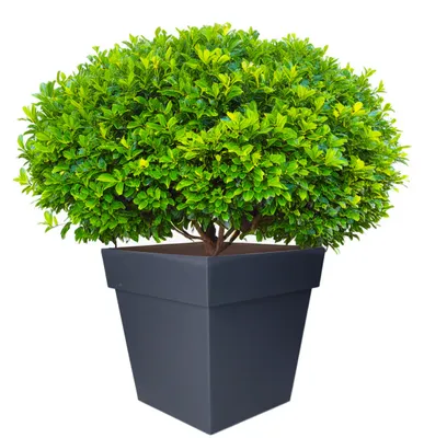 Produktbild von EDA Blumentopf Toskana - quadratisch - grau - Kunststoff - 32 cm