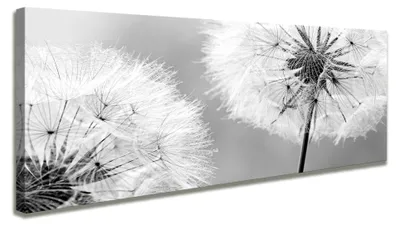Produktbild von 5741 Pusteblume Leinwandbild 120x40 cm