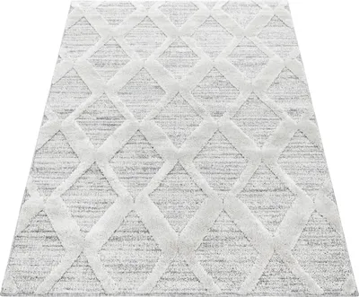 Produktbild von Teppich Wohnzimmer Hochflor Grau 160x230 Rechteck Boho-Design aus Polypropylen
