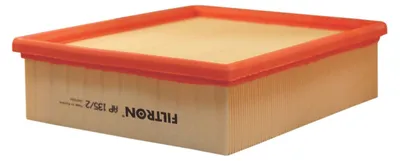 Produktbild von Luftfilter FILTRON AP 135/2 für RENAULT CLIO II (BB0/1/2, CB0/1/2) Filtereinsatz