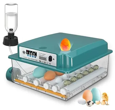 Productafbeelding van Volautomatische broedmachine, incubator voor kippen, geschikt voor 12-16 eieren, met automatische eieromdraaiing en automatische watergift. Broedkast voor kippeneieren, kwikeieren en eendeneieren