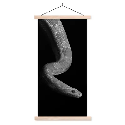 Produktbild von MuchoWow® Textilposter Tiere - Schlange - Schwarz - Weiß - Porträt 60x120 cm mit holzfarbenen Rahmen - Holz