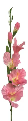 Produktbild von Künstliche Gladiole ca. 60cm Schwertlilie pink ROSA