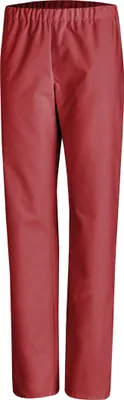 Produktbild von Leiber  Hose Farbe bordeaux Größe 00, 08/780/21