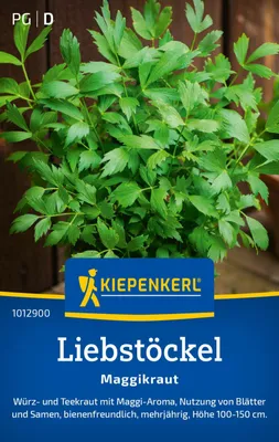 Produktbild von Kiepenkerl Liebstöckelsamen Maggikraut Levisticum officinale 50 Pflanzen