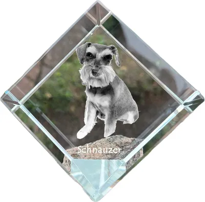 Immagine prodotto di Schnauzer I dado di cristallo con cane Art-Dog