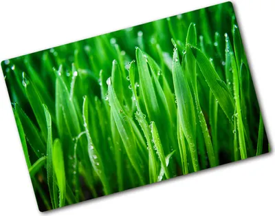 Produktbild von Tulup Glas Herdabdeckplatte - 80x52 cm - Glaskeramikkochfeld-Abdeckung Spritzschutz Glasabdeckplatte - Einteilig - Blumen & Pflanzen - Gras - Grün