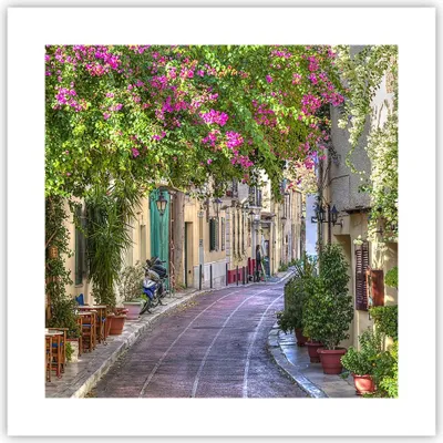 Produktbild von Poster - Poster ohne Rahmen - Straße dekoration blumen griechenland - 40x40 cm - Wand Bild - Wanddeko - Wandbilder - Kunstposter - Wandposter - Bilder - Kunstdruck - Wandbild - P2XAC40x40-2429