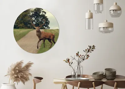 Produktbild von MuchoWow® - Mauerkreis - Wandbilder - Runde Bild - Bild aus Aluminium - Schlafzimmer - Wohnzimmerdekoration - Wand Dekoration