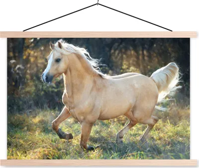 Produktbild von MuchoWow® Textilposter Pferd - Natur - Braun 60x40 cm mit holzfarbenen Rahmen - Bilder