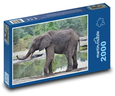 Obrázek produktu pro Puzzle 2000 Slon na safari - martinpuzzle