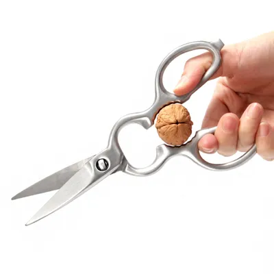 Produktbild von Vielzweckschere, Universalschere, Länge: 20 cm, Rostfreier Spezialstahl, Küchenhilfe, abnehmbar,Silber