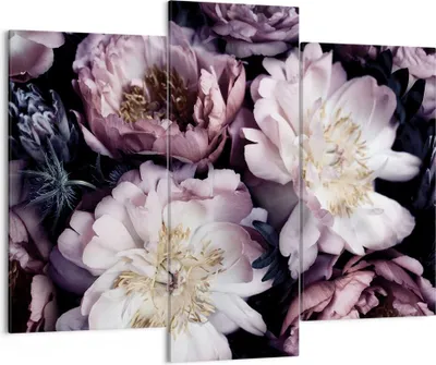 Produktbild von Bild auf Leinwand - Leinwandbild - 3 Teile - Pfingstrosen Veilchen Blumen - 130x100cm - Wand Bild - Wanddeko - Wandbilder - Leinwanddruck - Bilder - Wanddekoration - Leinwand bilder - CB130x100-5076