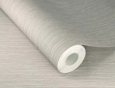 Obrázok produktu pre Vliesová tapeta 537680 Jednofarebná tapeta 53 x 1005 cm Rasch Curiosity Grey