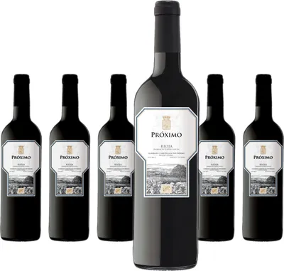 Produktbild von 6 x Marqués de Riscal Proximo Rioja DOCa