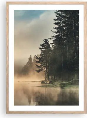 Produktbild von Gerahmtes Poster - Rahmen in heller Eiche - Nebel See Wald - 50x70 cm - Wand Bild - Wanddeko - Wandbilder - Kunstposter - Wandposter - Bilderrahmen - Bilder - Kunstdruck - P2NPA50x70-4440