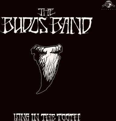 Obrázok produktu pre Kapela Budos Band: (CD / Titel: H-P)