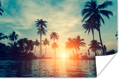 Produktbild von MuchoWow® Poster Meer - Sonnenuntergang - Palme - Wolken 30x20 cm - Plakate - Print