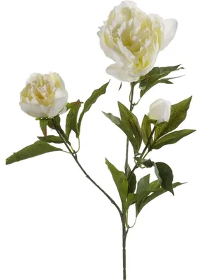 Produktbild von Kunstliche Blume Pfingstrose Zweig - 3 Blumen - weis - 70 cm - Dekoration