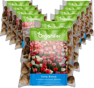 Produktbild von 500 Tulpenzwiebeln – 5 farbenfrohe Sorten (XXL-Blumenzwiebeln Größe 12 cm/+) - Organifer
