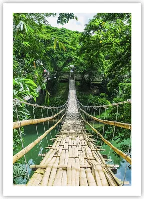 Produktbild von Poster - Poster ohne Rahmen - Gehweg Baum Holz Steg - 50x70 cm - Wand Bild - Wanddeko - Wandbilder - Kunstposter - Wandposter - Bilder - Kunstdruck - Wanddekoration - Wandbild - P2XPA50x70-3185