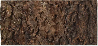 Produktbild von Repti Planet 007-54036, Holz, 1 Stück(e), 488 mm, 20 mm, 227 mm