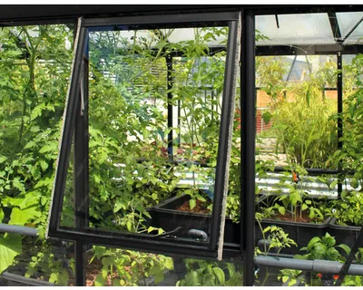 Produktbild von Vitavia Seitenfenster "H" für Vitavia Gewächshäuser schwarz 3 mm ESG