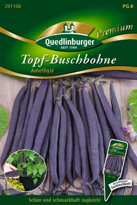 Produktbild von Quedlinburger Saatgut - Topf-Busch-Bohnen Amethyst - Samen - 291106