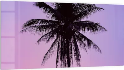 Produktbild von DEQORI Küchenrückwand Glas 100x50 cm 'Tropische Abendruhe' Spritzschutz Bad Rückwand Küche