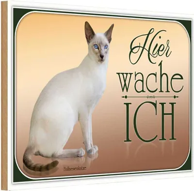 Produktbild von vianmo Holzschild 20x30 cm Katze Balinesenkatze hier wache ich Tier Haustier