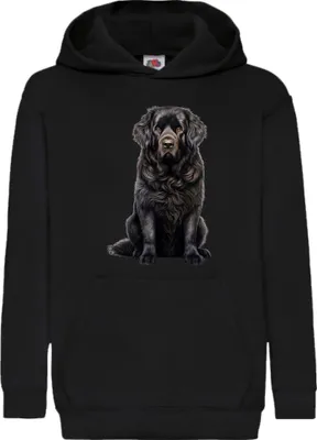 Zdjęcie produktu dla Dziecięca Bluza Z Kapturem Dogs Breeds Newfoundland Dog Breed 006, 9-11 Jahr - 140 / Czarny