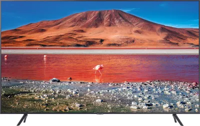 A television displaying a scenic landscape image.