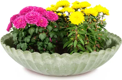 Immagine prodotto di Ciotola rotonda ondulata per piante da esterno verde marmorizzato 28 cm