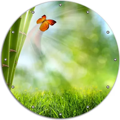Produktbild von Wallario rundes Outdoor-Poster für Garten oder Balkon, Motiv Schmetterling im Grünen mit Bambus, 90 cm Durchmesser