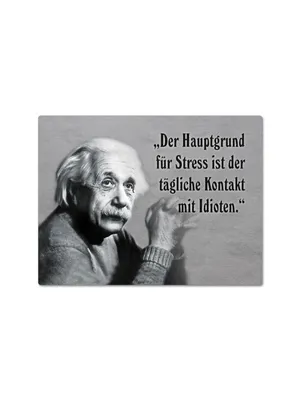 Produktbild von Einstein, Kontakt mit Idioten, Magnet, Blech 8 x 10,6 cm, MN-E01
