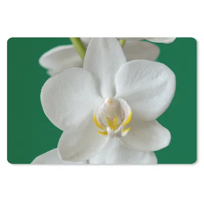 Produktbild von MuchoWow® Mauspad Mousepad Orchidee mit grünem Hintergrund 27x18 cm - Mousepads - Maus Mat - Pad - Mausunterlage - Büroartikel - Desk Matten