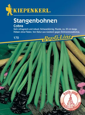 Produktbild von Kiepenkerl Profi-Line Stangenbohnen Cobra Phaseolus vulgaris var. vulgaris, Inhalt: 6-8 Stangen