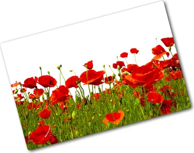 Produktbild von Tulup Glas Herdabdeckplatte - 80x52 cm - Glaskeramikkochfeld-Abdeckung Spritzschutz Glasabdeckplatte - Einteilig - Blumen & Pflanzen - Feldmohnblumen - Rot