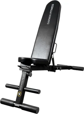 Zdjęcie produktu dla Ławka do ćwiczeń FITNESS FB50, oparcie z 7-stopniową regulacją | Ławka do treningu siłowego, udźwig 150 kg, wymiary 129x43x36 cm
