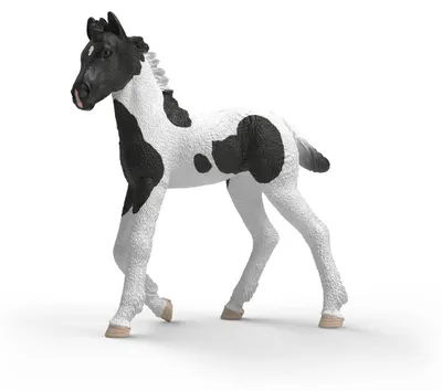 Immagine prodotto di Schleich HORSE CLUB 81481, 4 anni, Multicolore, Plastica