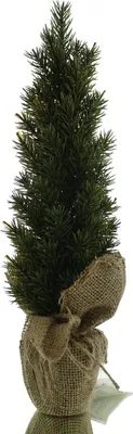 Produktbild von Weihnachtsdeko Tannenbaum Grün im Jutesack 42 cm - Kunstpflanzen