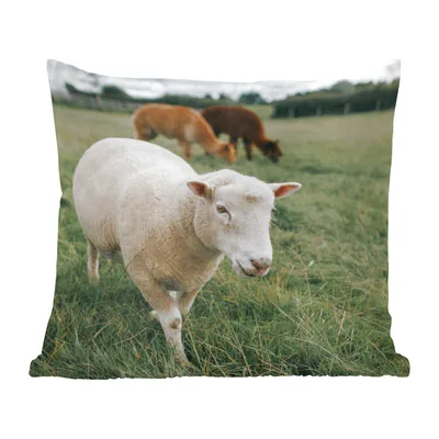 Produktbild von MuchoWow® Zierkissen Sofakissen Wohnzimmer Dekokissen 45x45 cm Schafe - Tiere - Gras - Schlafpolster - Polster für das Sofa