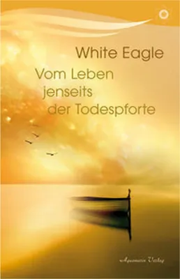 Produktbild von Vom Leben jenseits der Todespforte